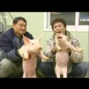 이비엘