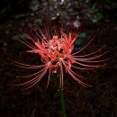 산호동136 이미지