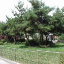 낙성대동-3 이미지