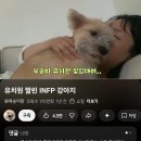 레전드 막차 탑승 이미지