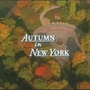 뉴욕의 가을 - Autumn In New York 이미지