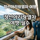 아리랑열차 연계형 시티투어2 | 정선아리랑열차 예매부터 탑승까지! 강원도 기차여행 꿀팁