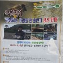 영림식품