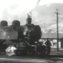 박길수 카카오 검색결과