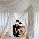 (주)하얀바람엔터테인먼트 | [260409] STEP 8-1 대장고양이와의 우당탕탕 제주스냅 여정기(유인 하얀작가님 후기)