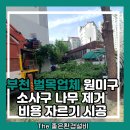 씨유소사3단지점 | 부천 벌목업체 원미구 소사구 나무 제거 비용 자르기 시공