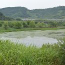 고니물상