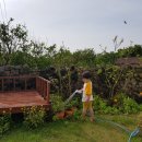 서림민박 이미지