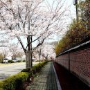 아름답개 이미지