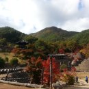삼성궁 이미지