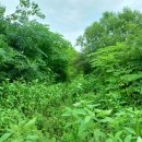 인보농장 이미지