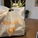 오스타비어 이미지