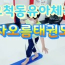 차오름 태권도 네이버블로그