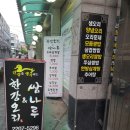 한강오리 이미지