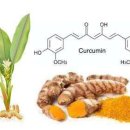 시디인터내셔널 이미지