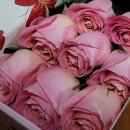 설레임(Sulleim) 이미지