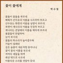 꽃이꽃에게