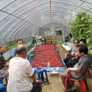 모현농장 이미지