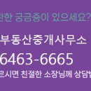 W부동산중개 이미지