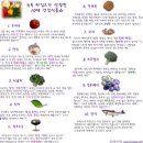 식구푸드