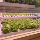 리브팜 압구정 이미지