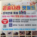 곤충나라 펫월드