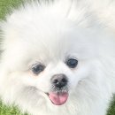 아이멍그라운드 네이버블로그