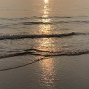 제노아그로(주) | 라니의 4월 10분만에 돌아보기