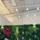 햄스팟 | [경북 성주 카페] ‘우디1155’ 🏔️산속 카페 후기 | 자연 힐링 스팟 🤍ྀི