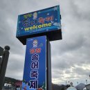 평창밧데리 | 평창송어축제 2026 기본정보·예약·주차·낚시대·개막식 후기