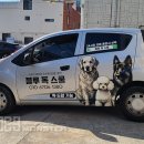 블루 독 스쿨 이미지