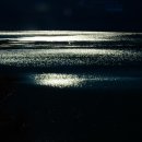 윤술