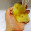 포마이러브