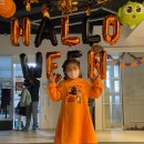 용인대 한라 태권도장 이미지