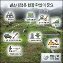 포천벌초대행 장수말벌과 맞선 벌초 현장 이미지