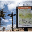 (사)한국멸종위기 야생동식물보호협회 춘천시지부 | 내 생애 처음 만나는 설악산, 감동이라는 이름으로 다가왔다.