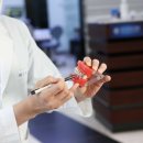 라온바른이치과의원 | [공지] 라온바른이치과의원 8.15 광복절 휴진 안내