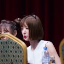 Pink UP 카카오 검색결과