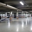 현대2차 203동 앞 이미지