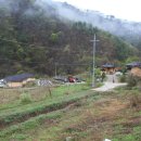 수입천계곡펜션 이미지