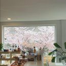 샌드비(SandB) 이미지