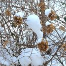 함평자연생태공원 이미지