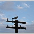 포구의 오후 이미지