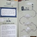 대동할머니 경로당 | 정조대왕 능행차 공동재현 직관후기