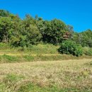 금수농장2 이미지