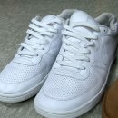 백곰세탁 이미지