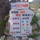 양평소나무펜션 이미지