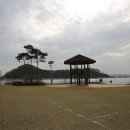 당나루물꽃승마마을영농조합 이미지