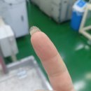네일데이션 이미지