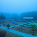 안개 농촌체험 휴양마을 이미지